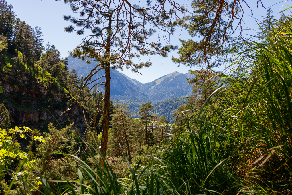 Aussicht auf die Zugspitze