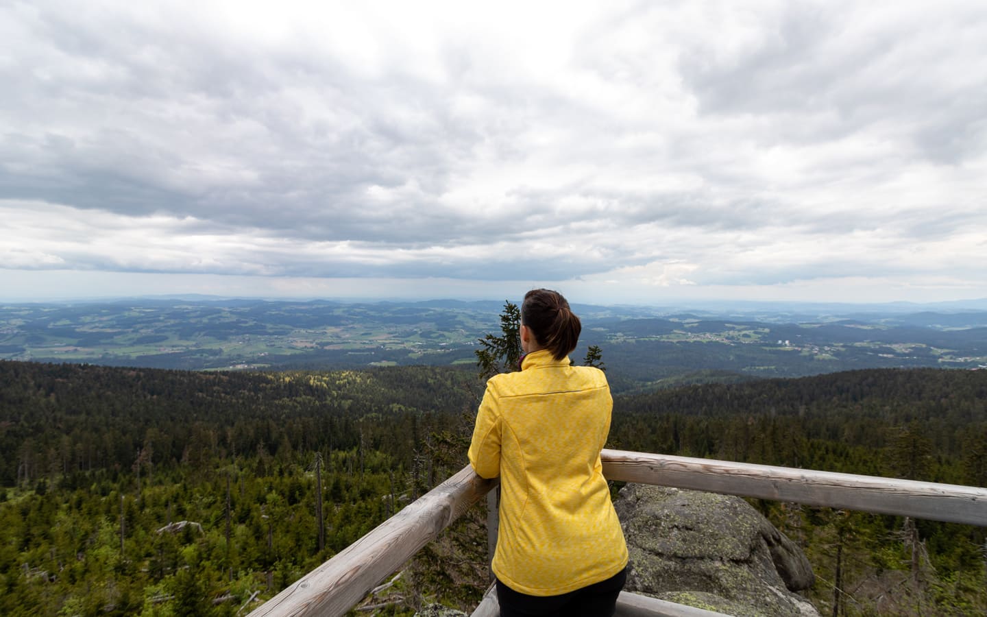 Aussicht vom Dreisesselberg