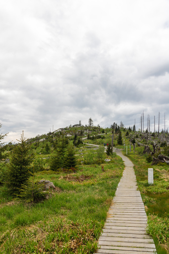 Holzsteg zum Dreisesselberg