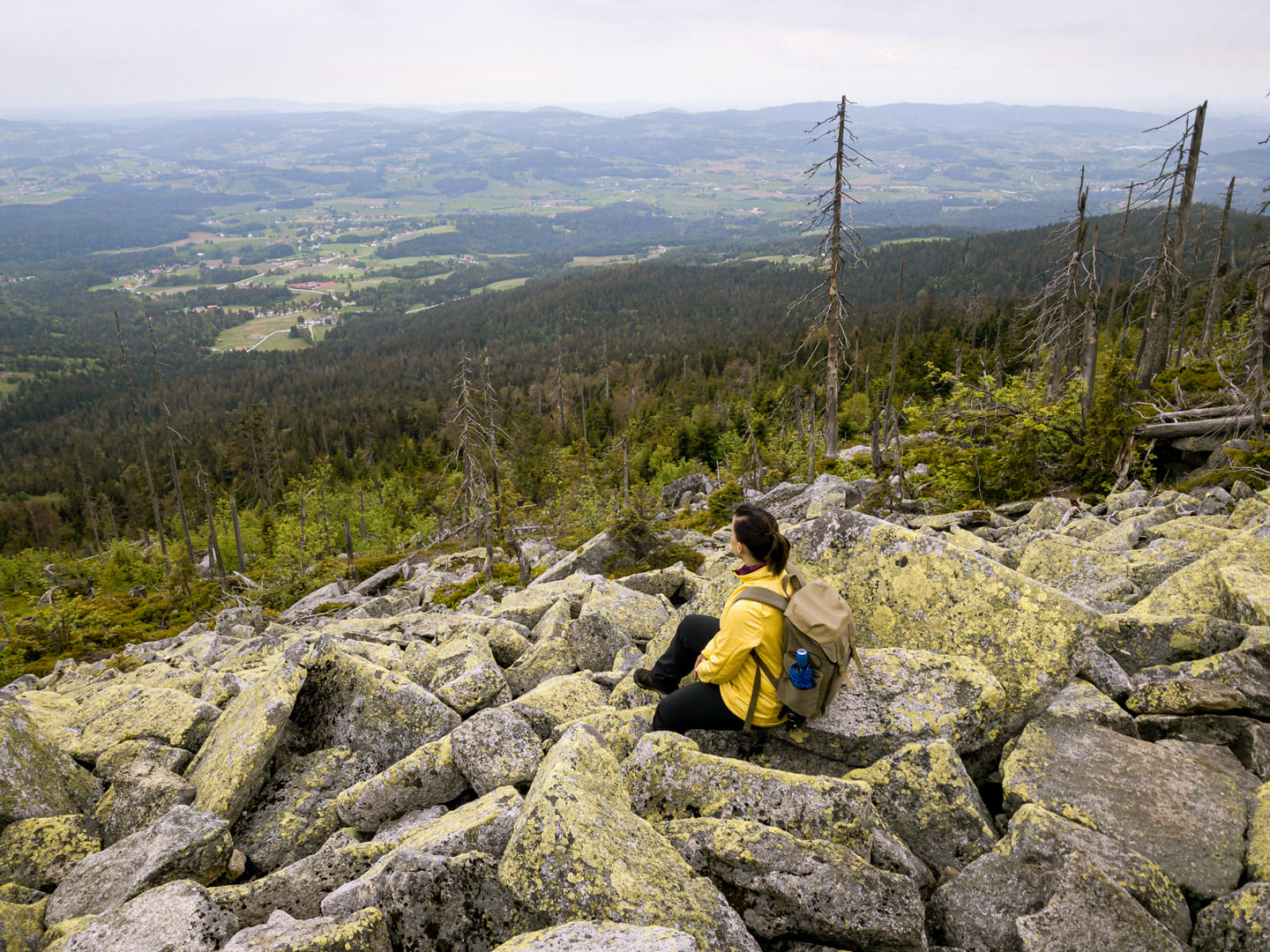 Steinerne Meer am Dreisesselberg