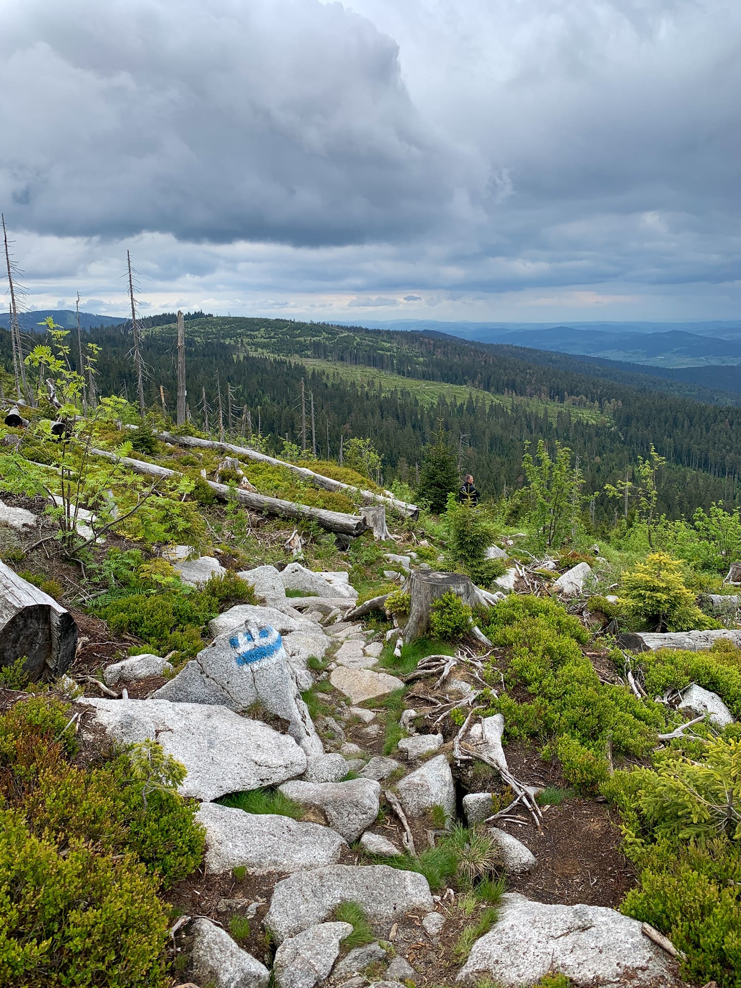Wegmarkierung Dreiländereck Dreisesselberg