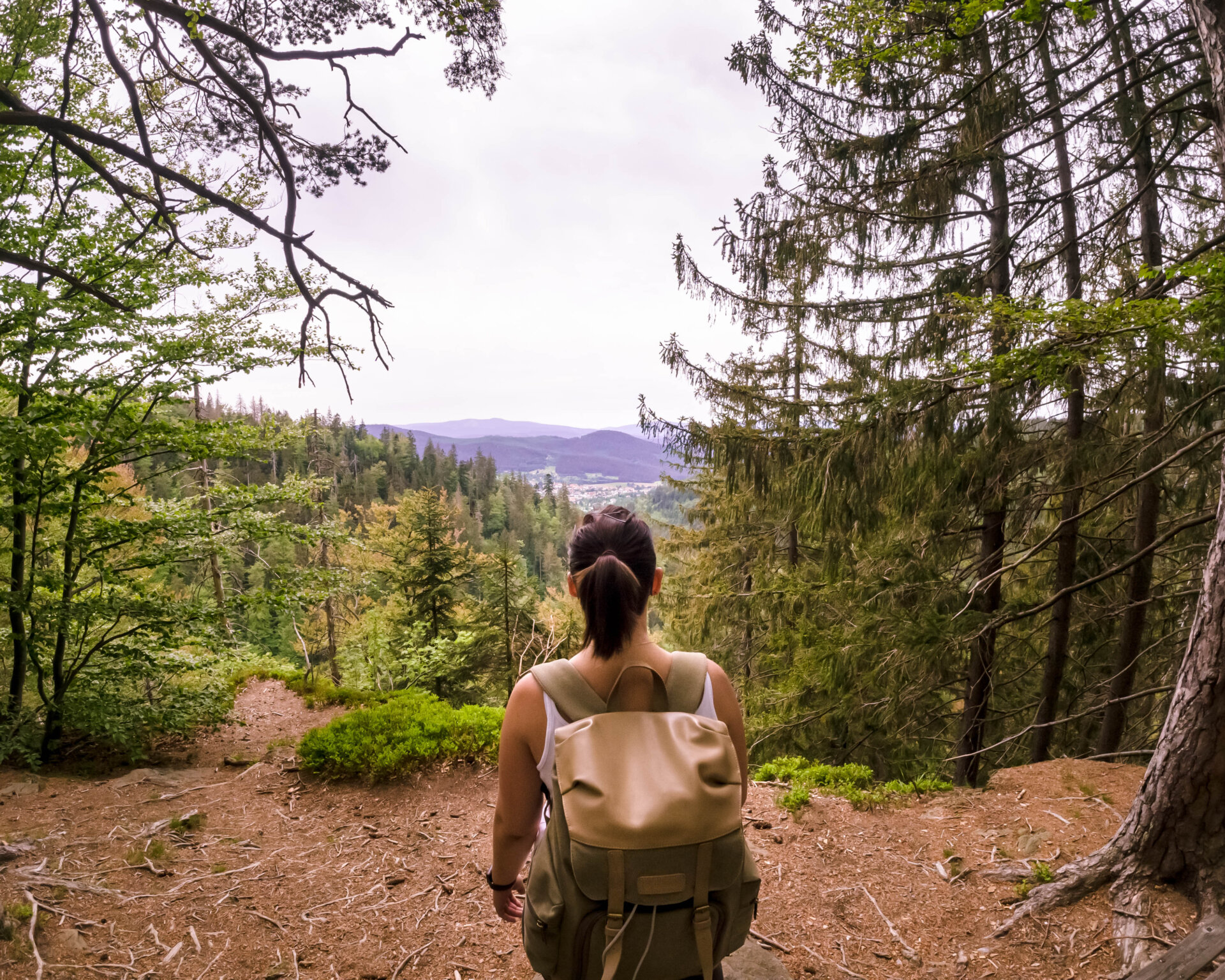 Aussichtspunkt Schweiklruh Risslochwasserfaelle