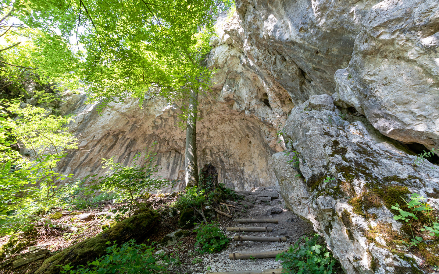 Felsueberhang Friedrichsruh an der Burg Prunn