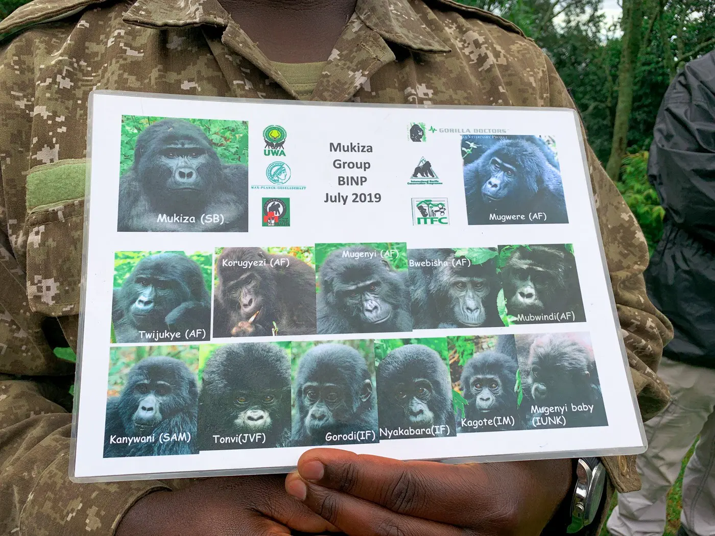 Gorilla Trekking Uganda
