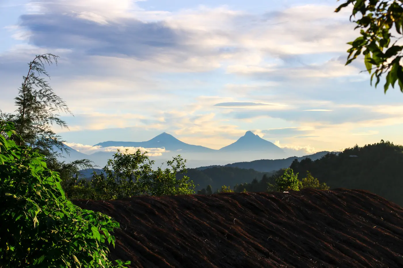 Virunga Berge Uganda