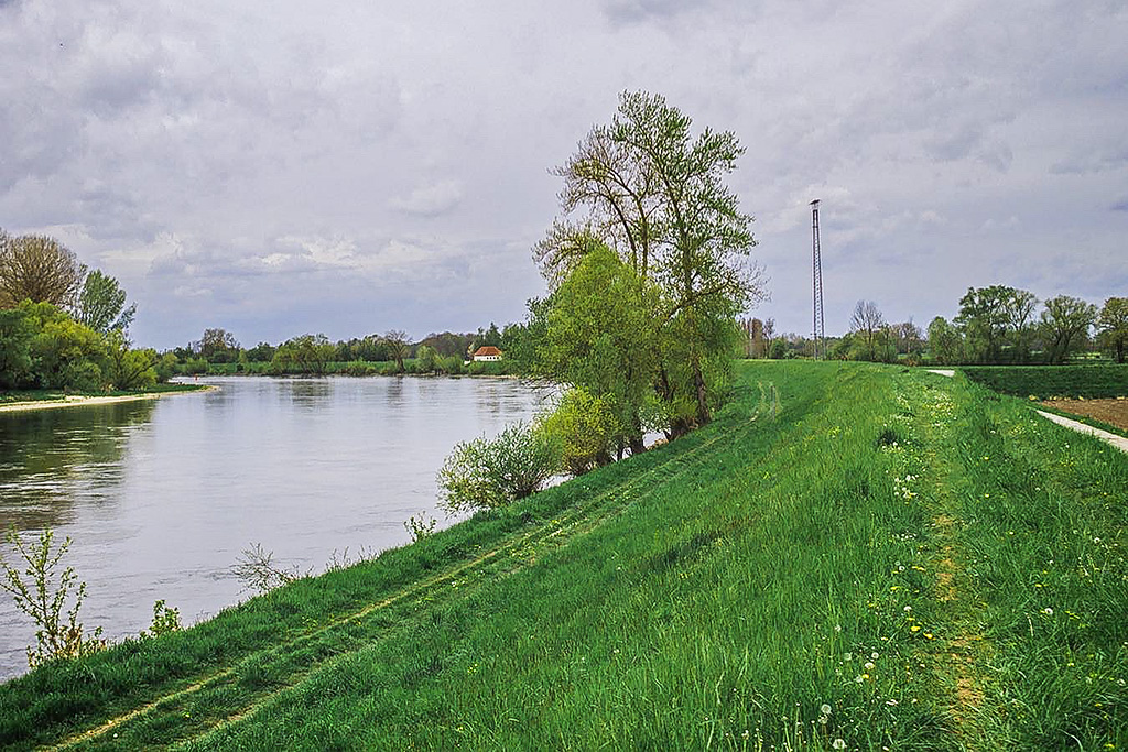 Dammkrone-Donau-Winzerer-Letten