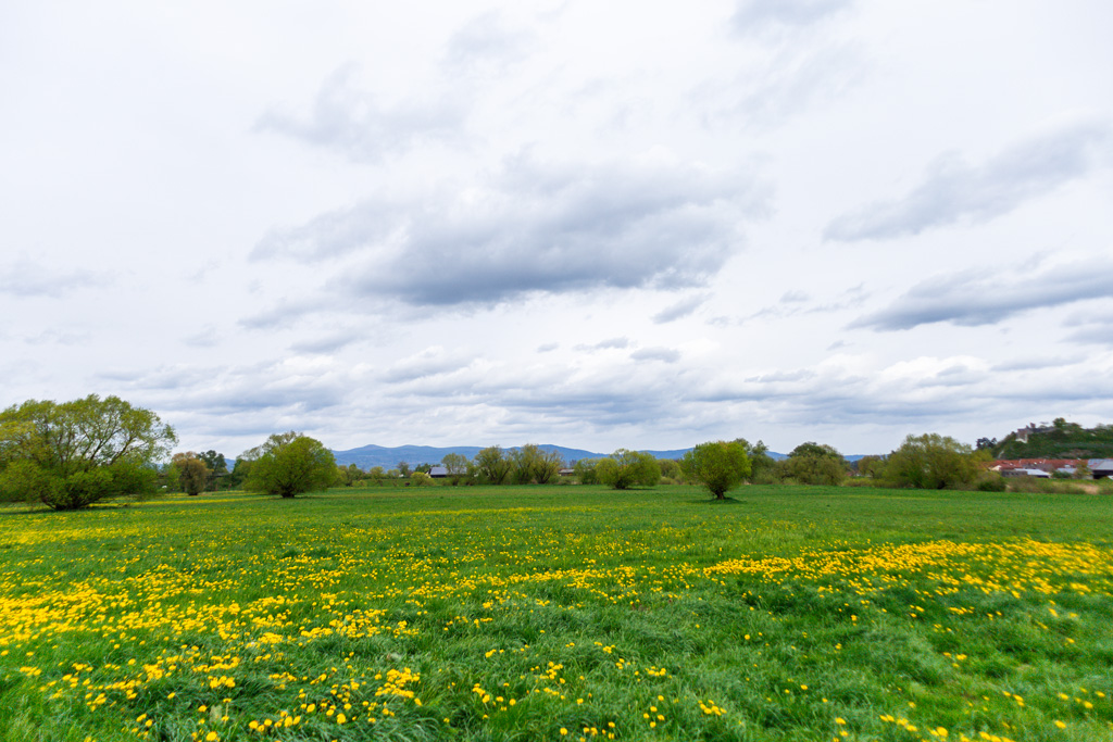 Landschaft-NSG-Winzerer-Letten-Deggendorf