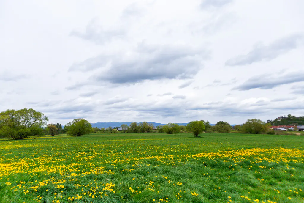 Landschaft-NSG-Winzerer-Letten-Deggendorf