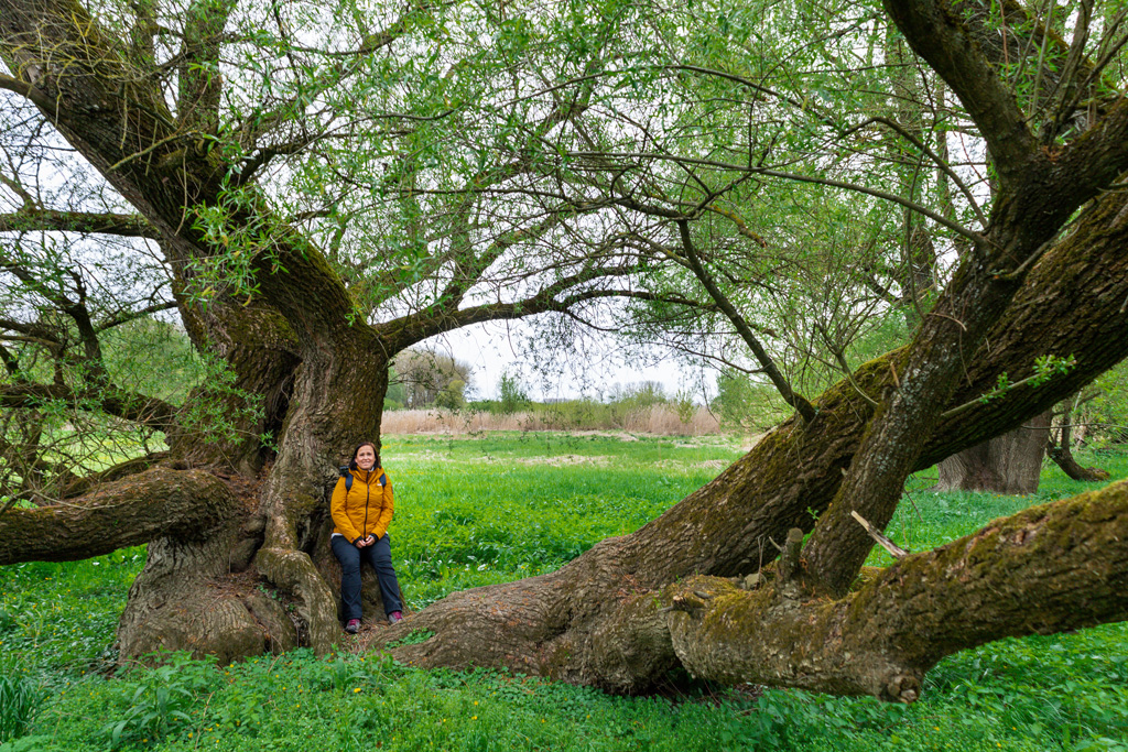 Natur-Winzerer-Letten