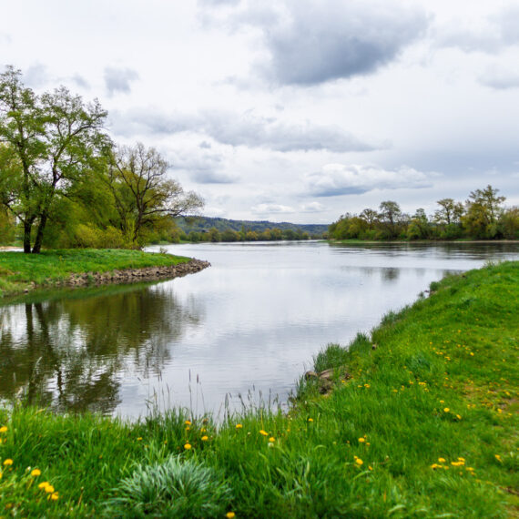 Naturschutzgebiet-Winzerer-Letten