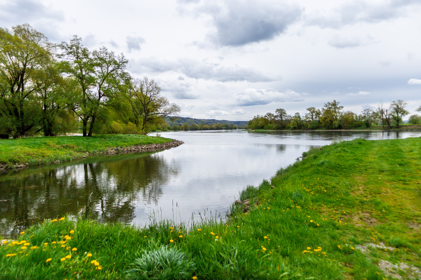 Naturschutzgebiet-Winzerer-Letten