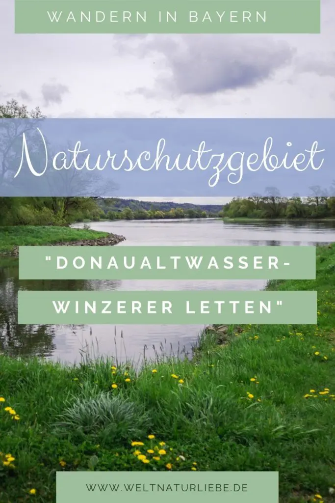 Naturschutzgebiet Niederbayern Donaualtwasser Winzerer Letten