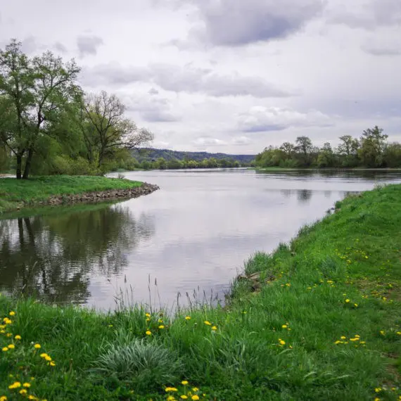 Wanderung Bayern Naturschutzgebiet Donaualtwasser Winzerer Letten