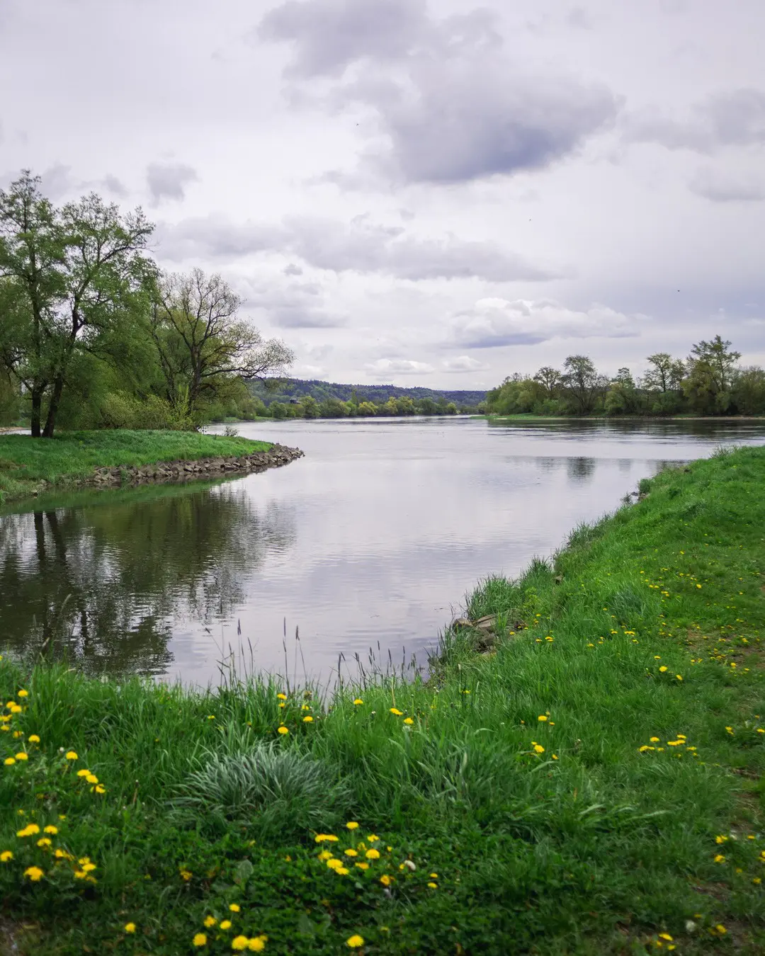 Wanderung Bayern Naturschutzgebiet Donaualtwasser Winzerer Letten