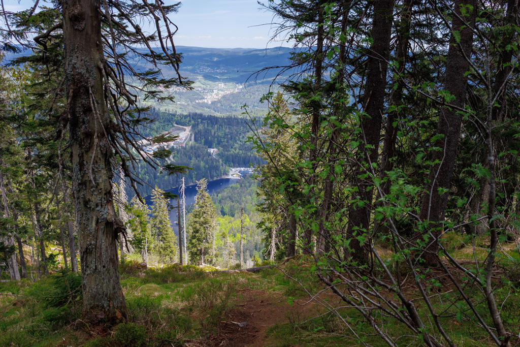 Aussicht vor dem Mittagsplatzl auf den großen Arbersee