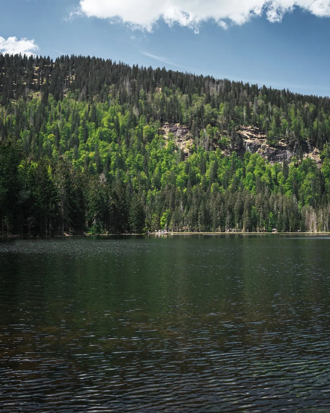 Großer Arbersee Wanderung Großer Arber