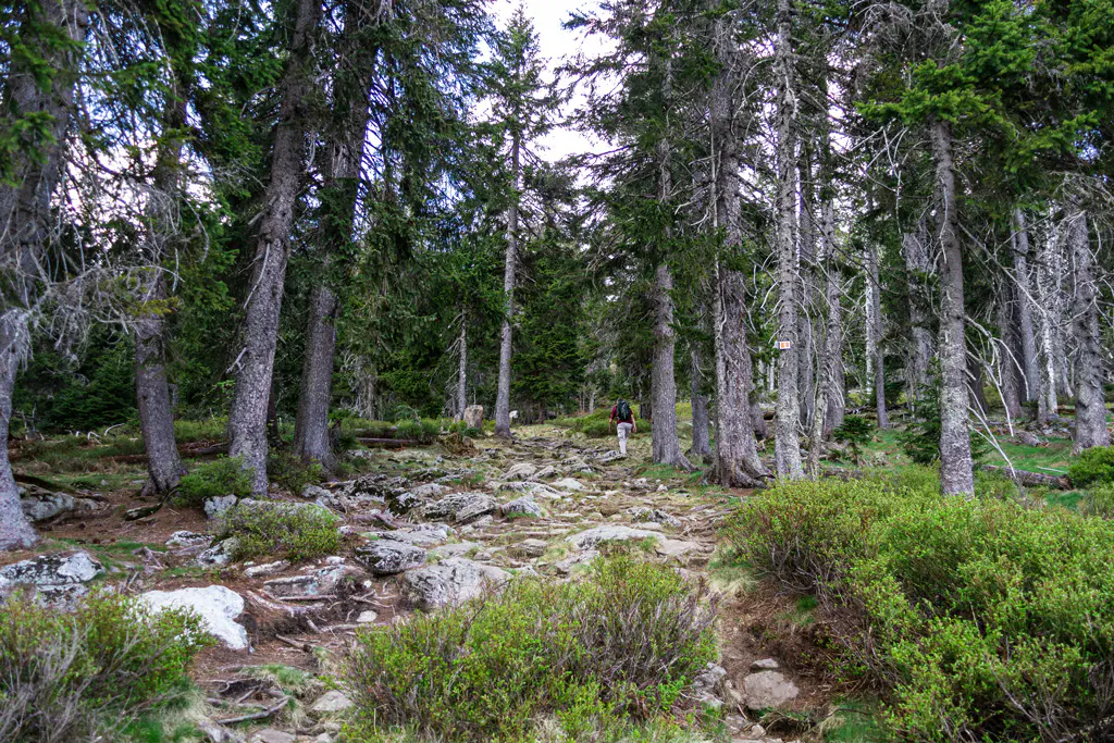 Steiniger-Aufstieg-zum-Grosser-Arber