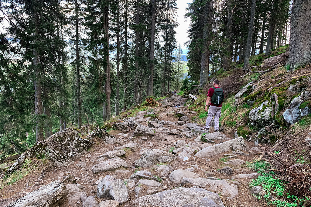 Steiniger-Rueckweg-zum-Grossen-Arbersee