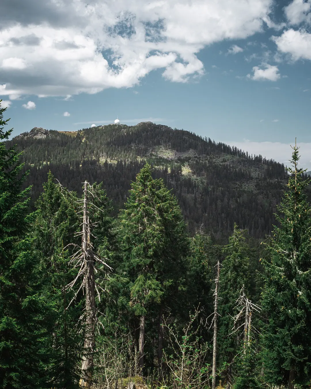 Wandern in Bayern Arber