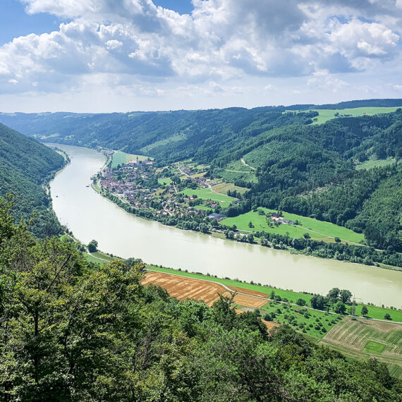 Naturschutzgebiet-Donauleiten-Jochenstein-Ebensteinfelsen