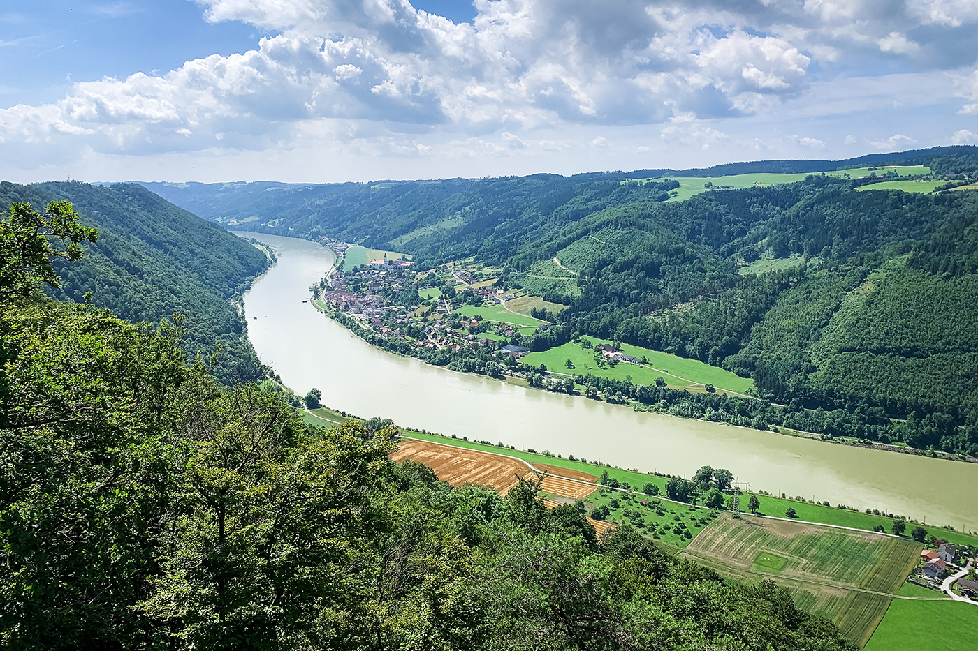 Naturschutzgebiet-Donauleiten-Jochenstein-Ebensteinfelsen