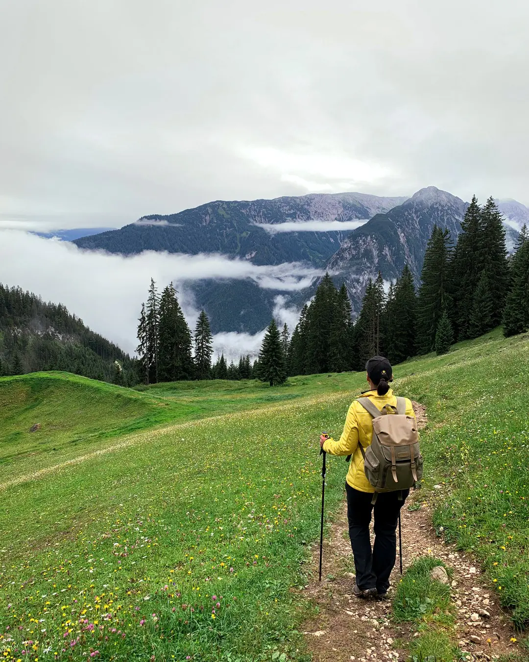 Zur Buchauer Alm und über den Schützensteig zurück