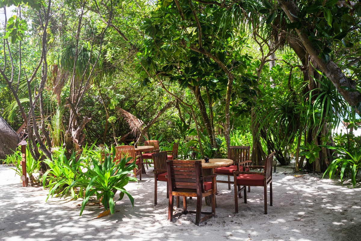 Garten der Handhuvaru Bar auf Reethi Beach