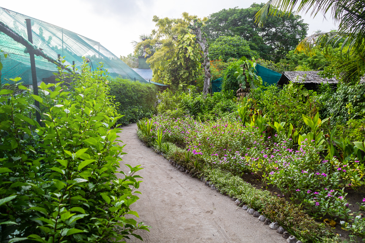 Reethi Garden auf Reethi Beach