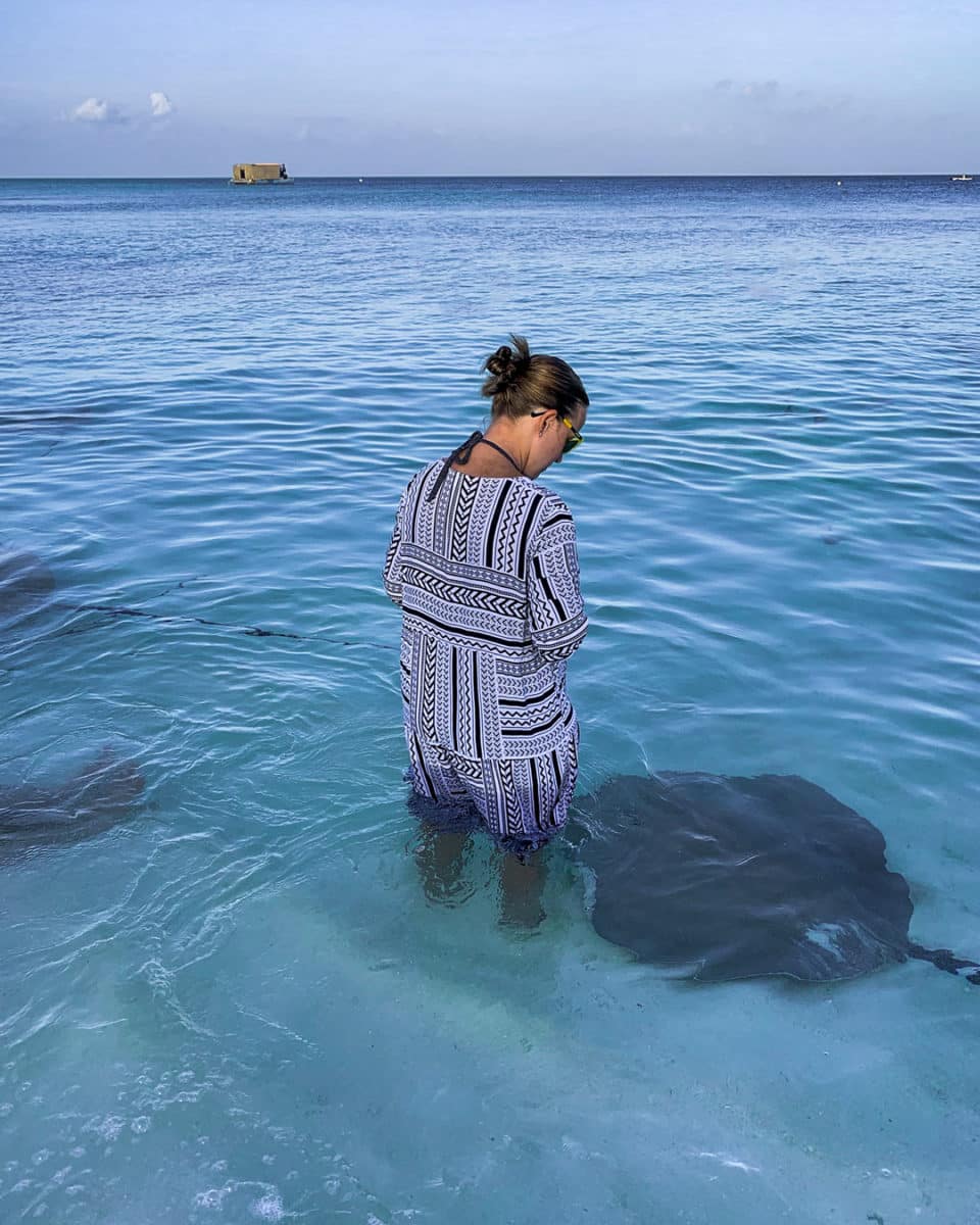 Rochenfütterung am Strand
