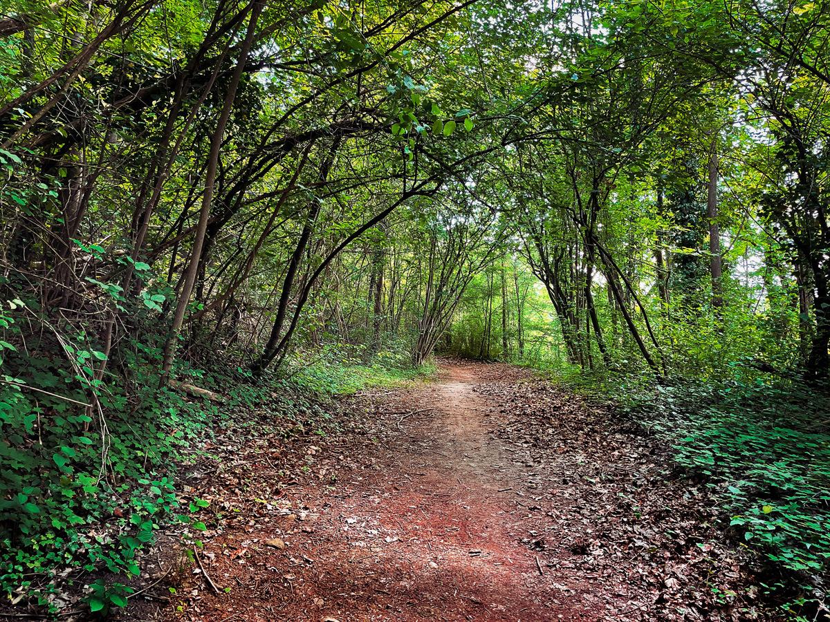 Max-Schultze-Steig-Wanderweg