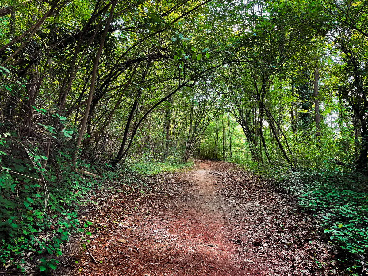 Max-Schultze-Steig-Wanderweg