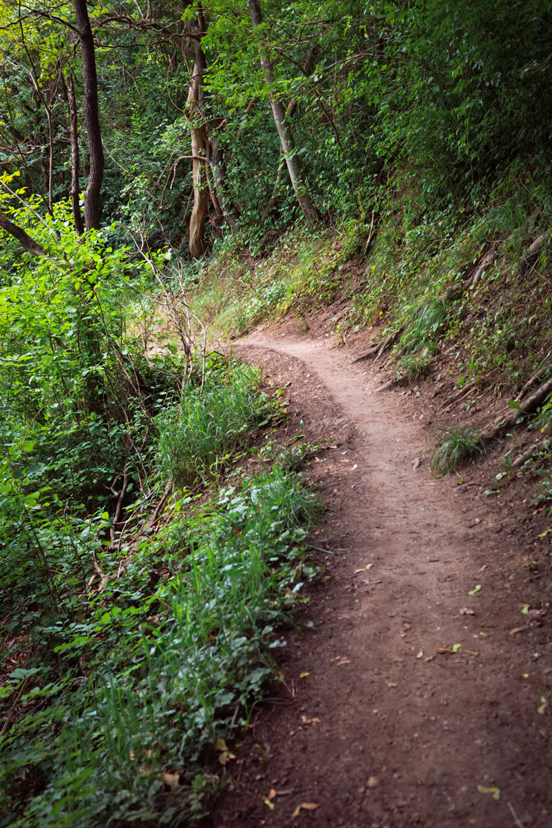 Wanderweg-Max-Schultze-Steig