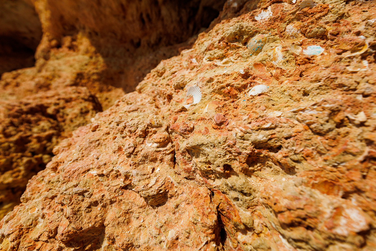 Muschelkalk Algarve