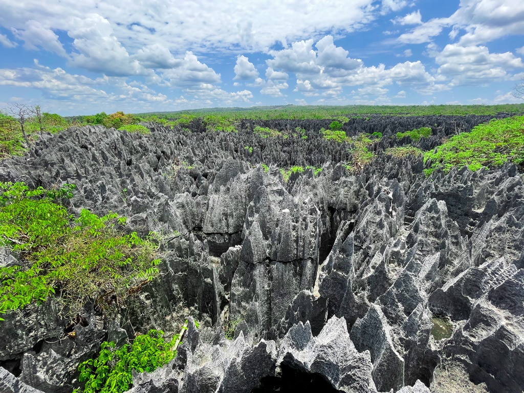 1.-Aussichtsplattform-Große-Tsingys-Madagaskar-Bemaraha-Nationalpark