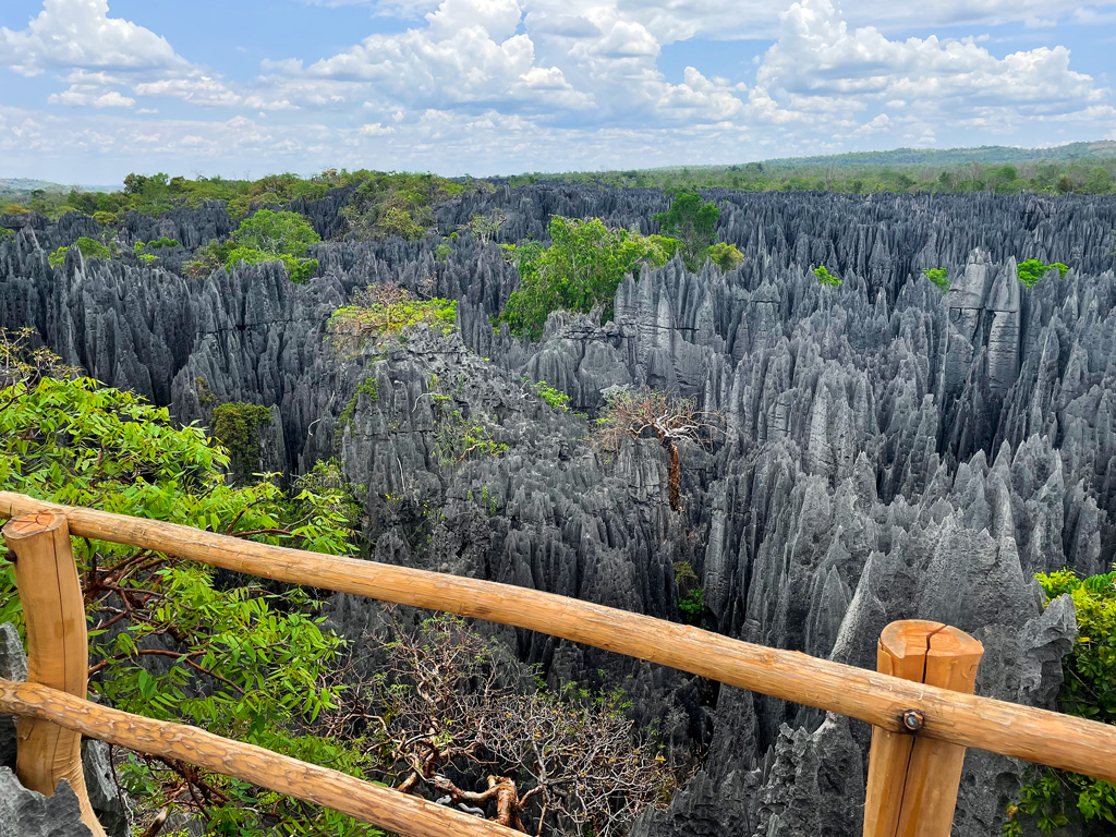 Aussichtsplattform-Große-Tsingys-Madagaskar