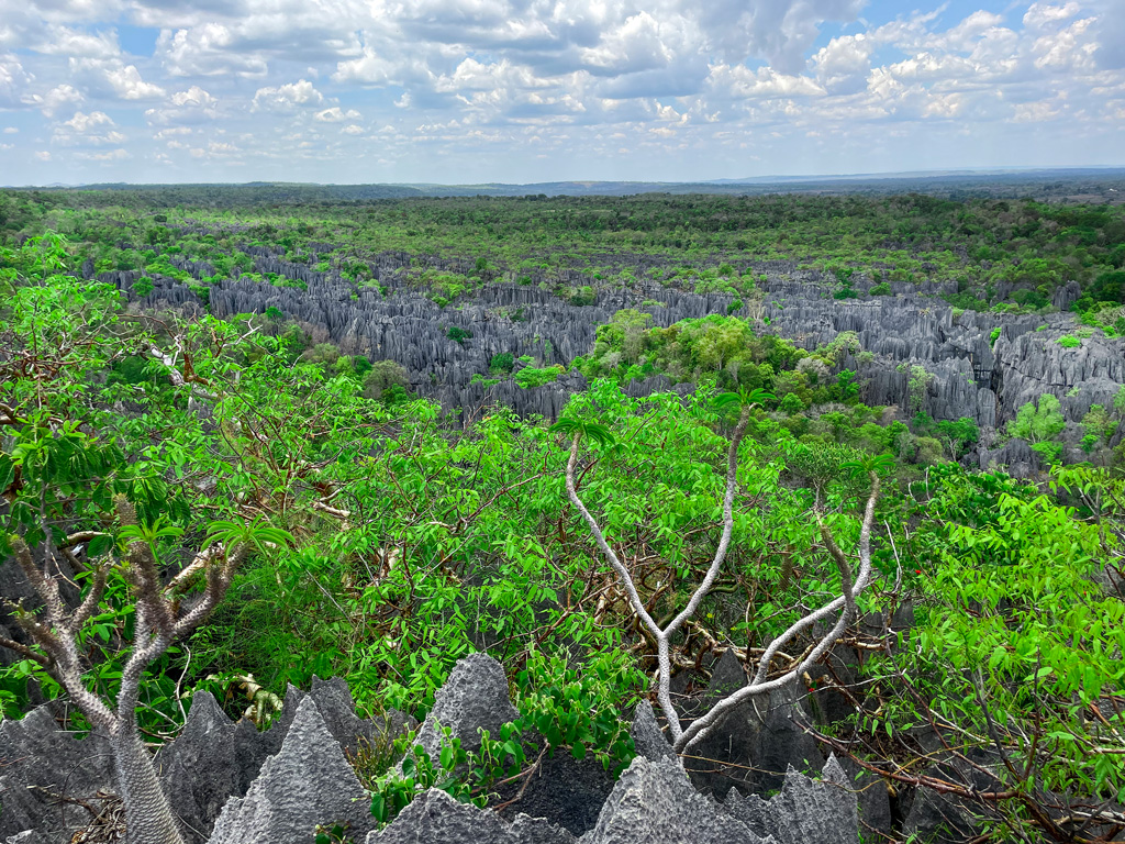 Große-Tsingys-Bemaraha-Nationalpark-2