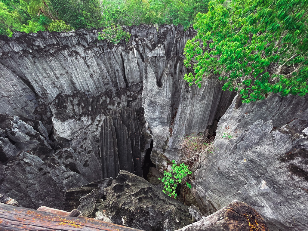 Kleine Tsingys Bemaraha Nationalpark Madagaskar