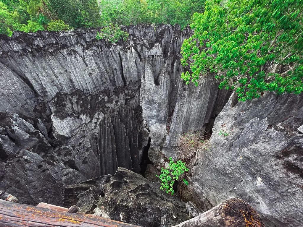 Kleine Tsingys Bemaraha Nationalpark Madagaskar