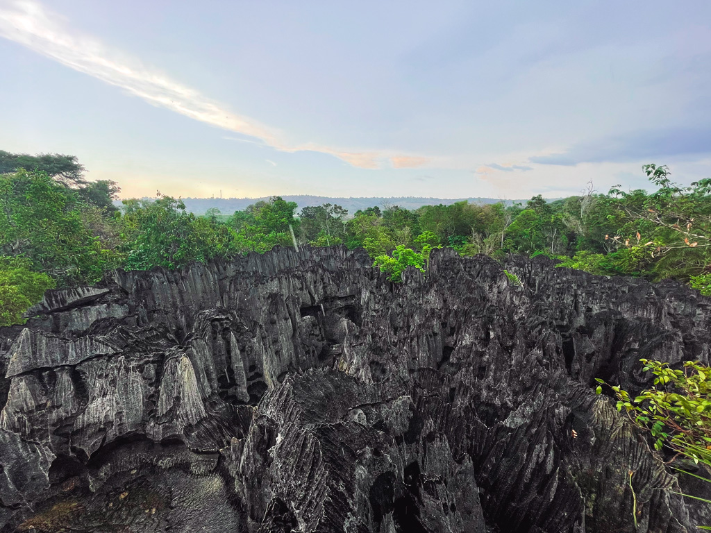 Kleine Tsingys Madagaskar