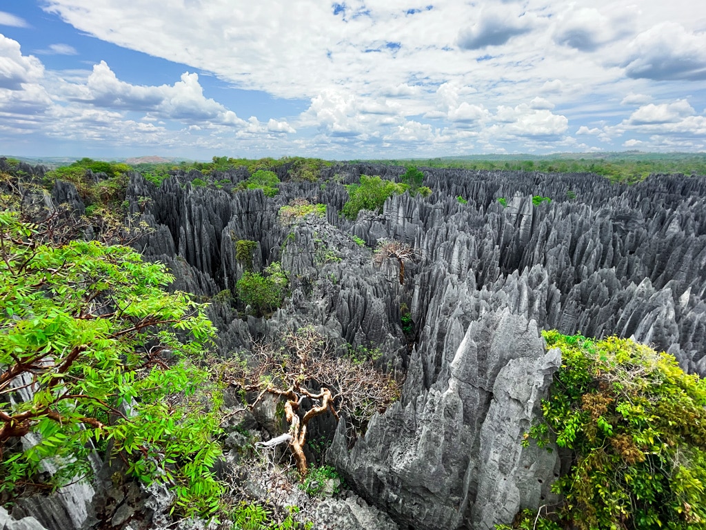 Tsingys-Bemaraha-Nationalpark-Madagaskar
