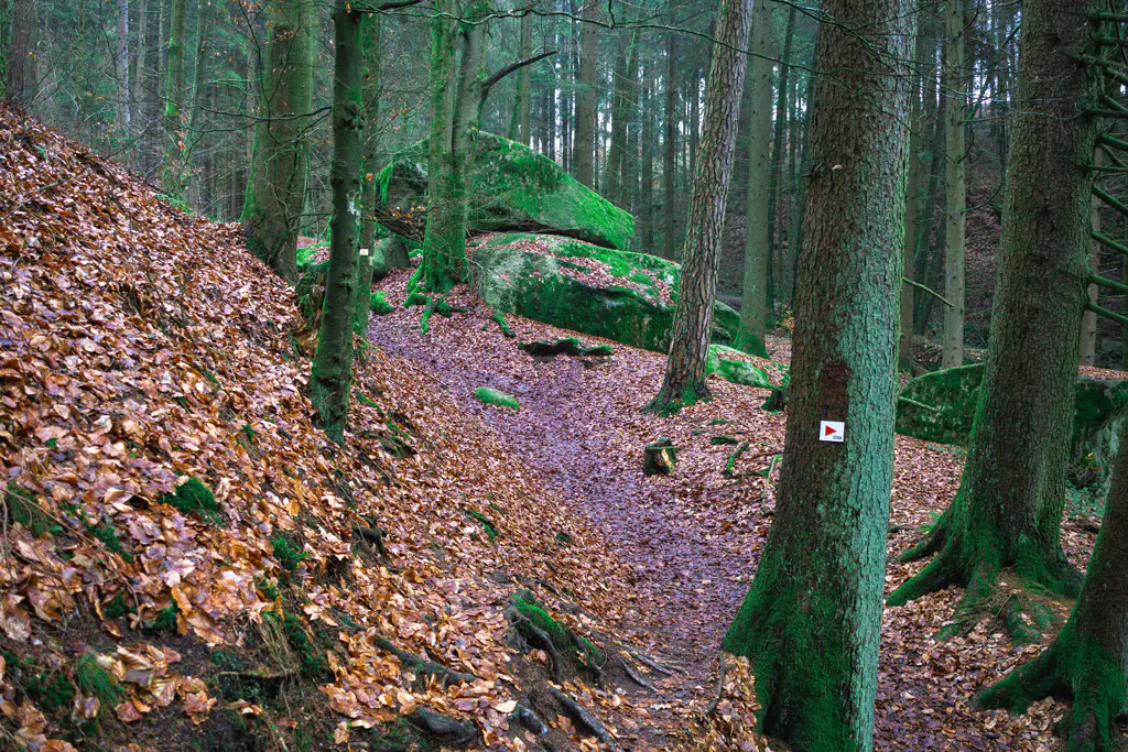 Felsformation mitten im Wald in der Hölle
