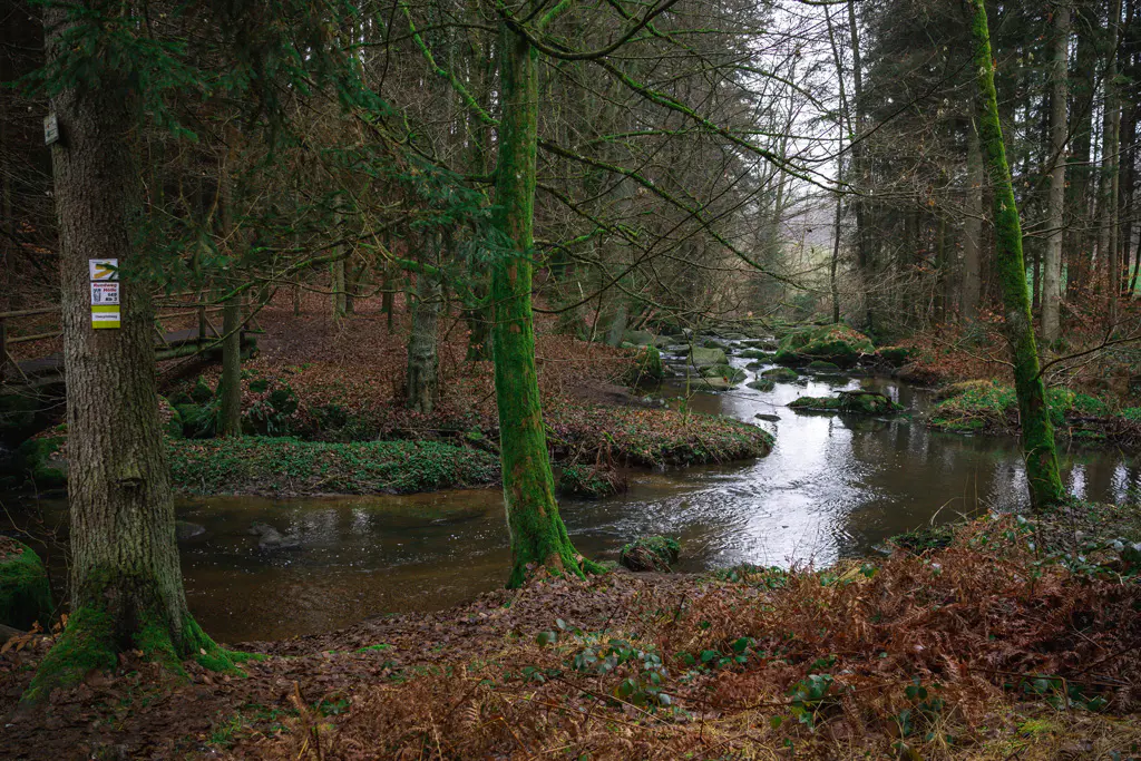 Bachlauf-des-Hoellbaches-im-Naturschutzgebiet-Hoelle