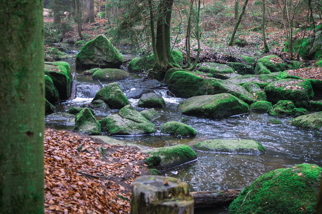 Der 
Höllbach-im-Naturschutzgebiet-Hölle