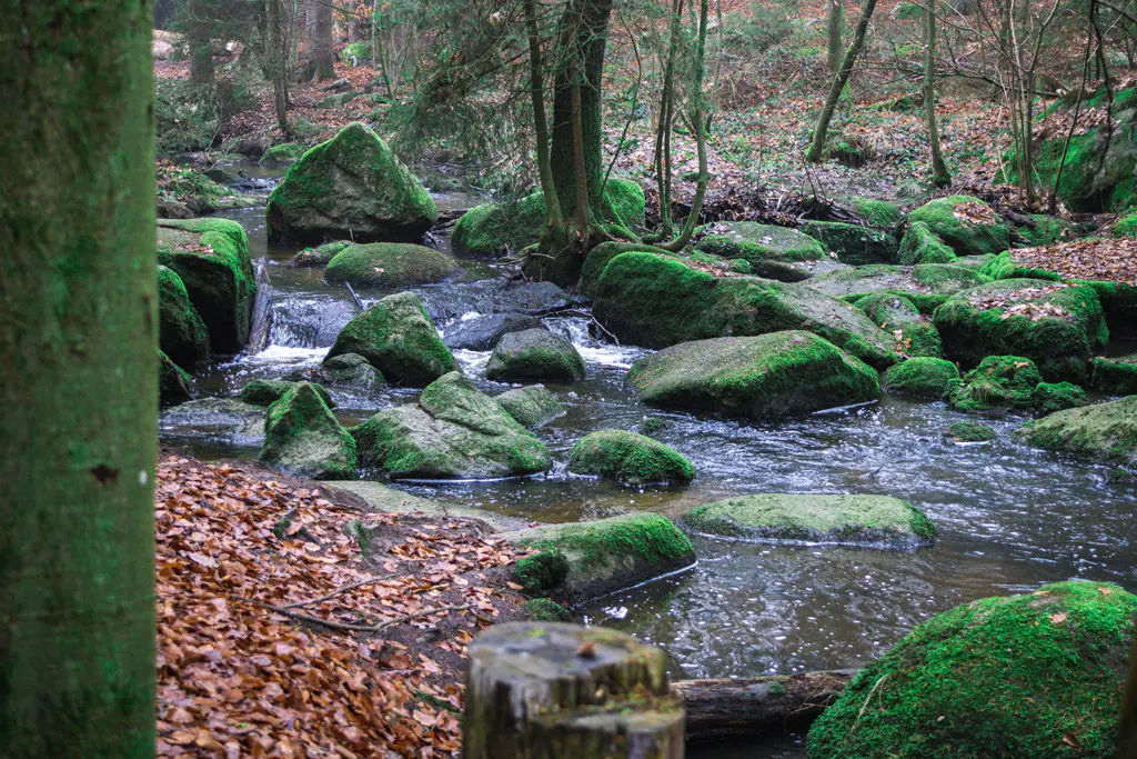 Der 
Höllbach-im-Naturschutzgebiet-Hölle