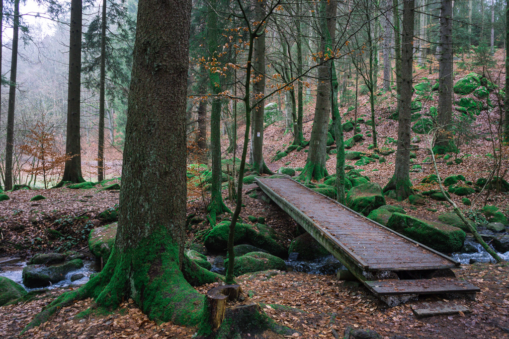 Kleine Brücke über den Höllbach