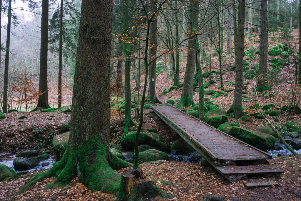 Kleine Brücke über den Höllbach