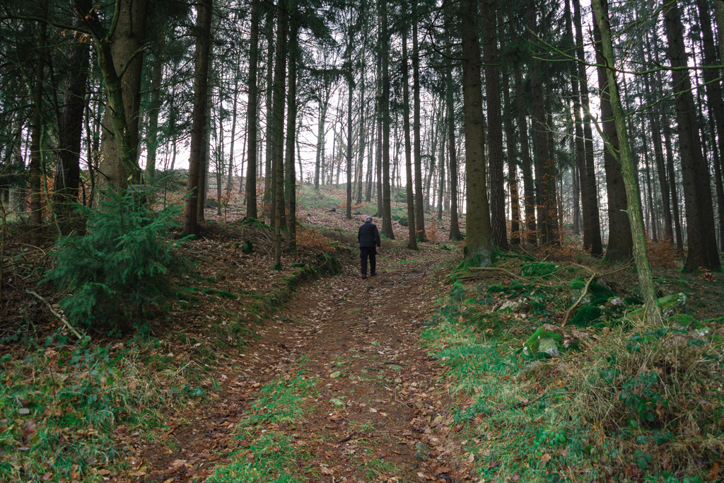 Letztes-Stück-zum-Röhrenhof.