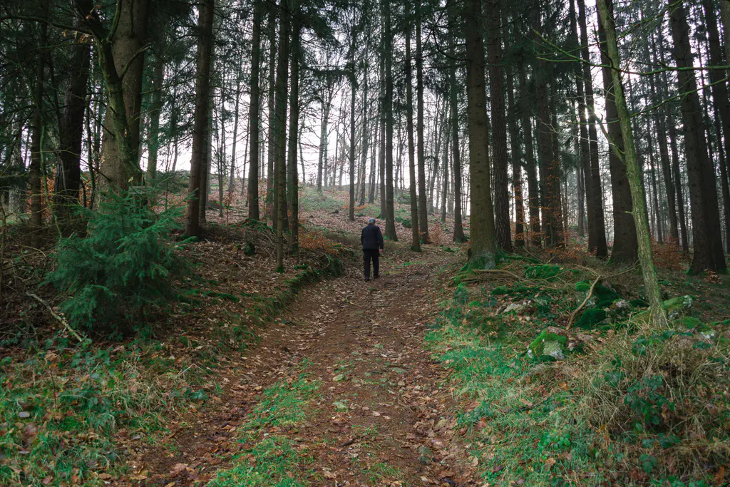 Letztes-Stück-zum-Röhrenhof.