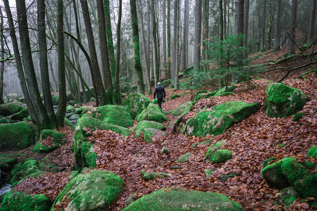 Schöner natürlicher Wanderweg
