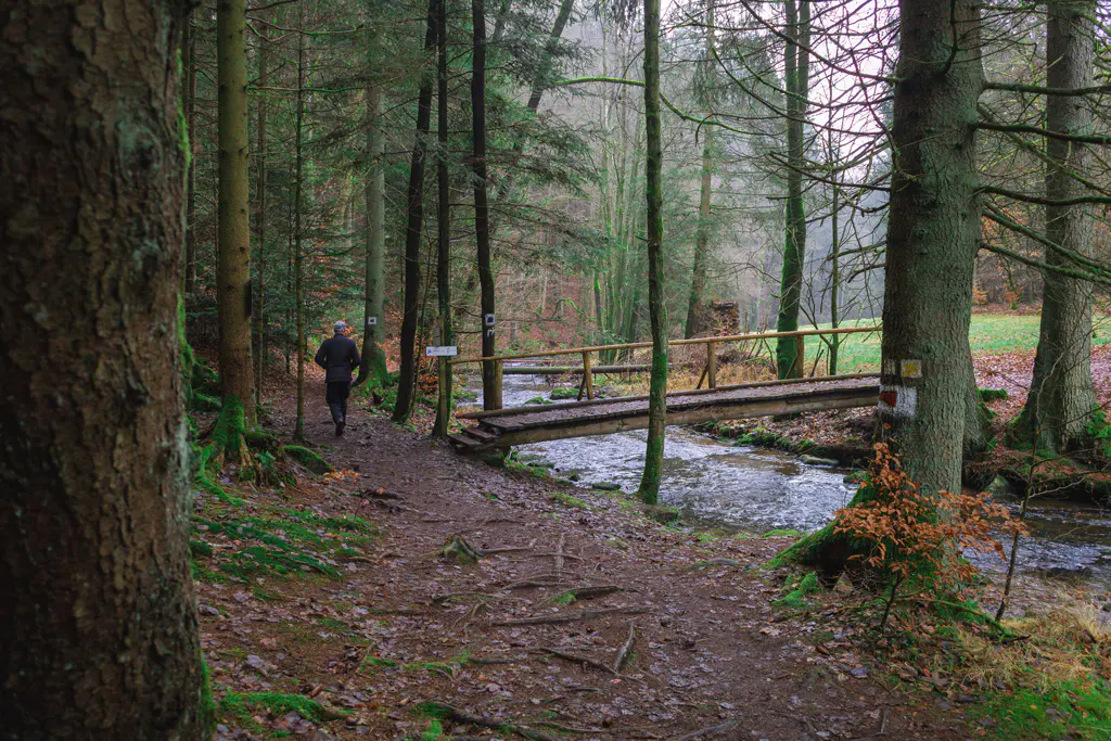 
Rundweg-Hoellbachtal-Naturschutzgebiet-Hoelle